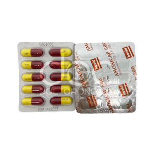 Hovid Amoxicap 500mg Capsule